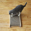 Griffoir mural adhésif pour Chat - Vraiment-chat