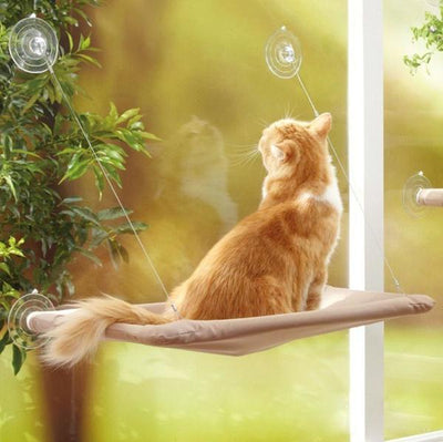 Hamac de fenêtre pour Chat à Ventouse - Vraiment-chat