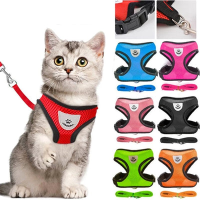 8 Harnais pour Chat Respirant