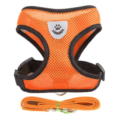 Harnais pour Chat Respirant orange- vraiment-chat