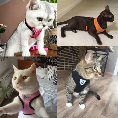 Harnais pour Chat Respirant - vraiment-chat