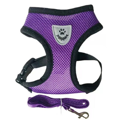 Harnais pour Chat Respirant violet- vraiment-chat