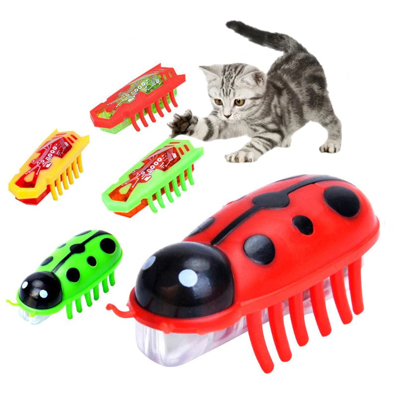 Jouet pour Chat Insecte Robot - Vraiment-chat