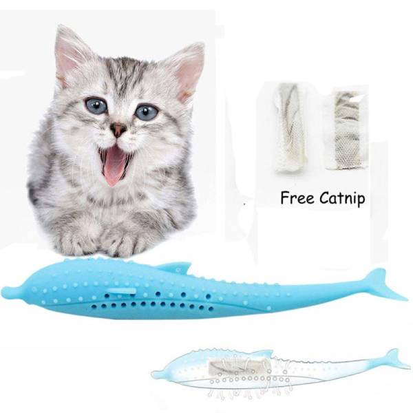 Jouet dentaire pour Chat - Vraiment-chat