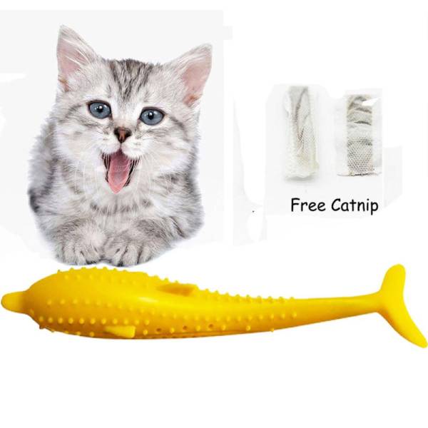Jouet dentaire pour Chat - Vraiment-chat