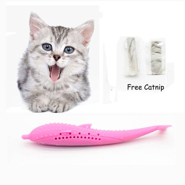 Jouet dentaire pour Chat - Vraiment-chat