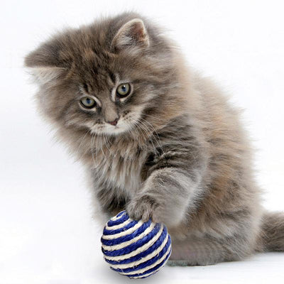 Jouet pour Chat Balle en Sisal Bleue - Vraiment-chat