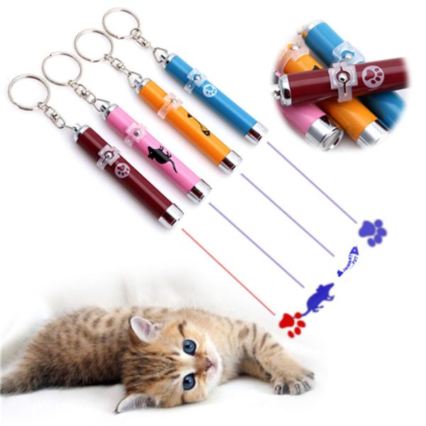Laser LED pour chat - Vraiment-chat