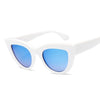 Lunettes de Soleil en Yeux de Chat - Vraiment-chat