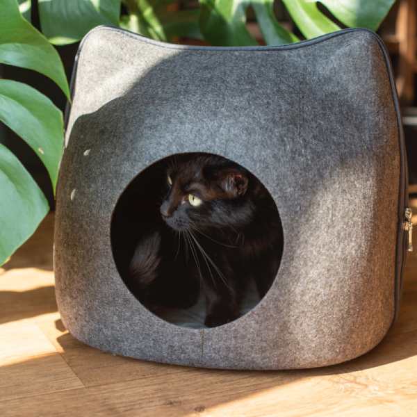 Niche Tête de Chat - Vraiment-chat