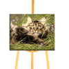 Peinture par Numéros de Chat Couché dans l'Herbe - Vraiment-chat