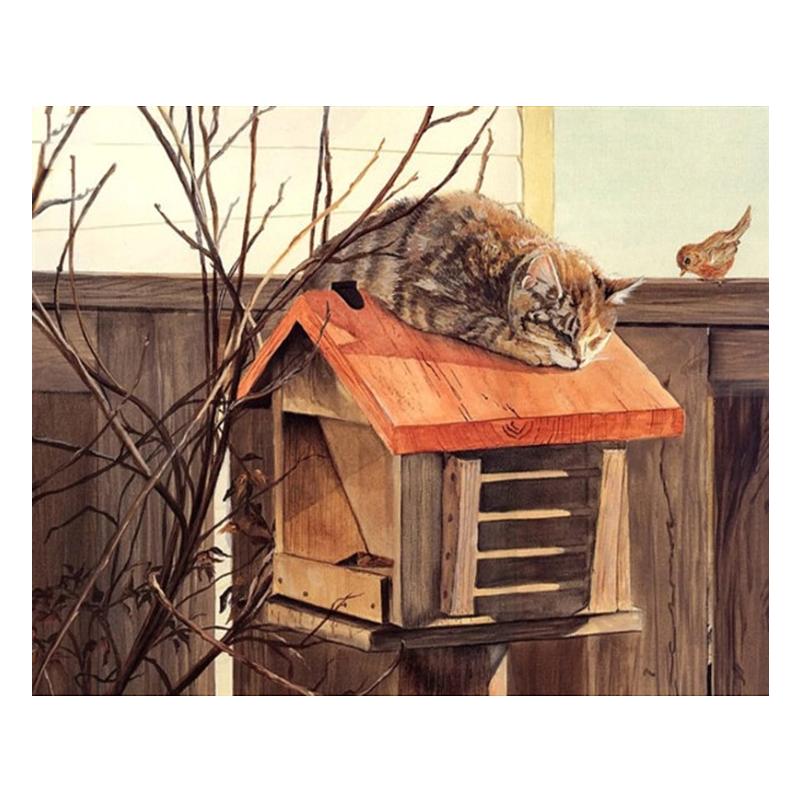 Peinture par numéro Chat sur Maison