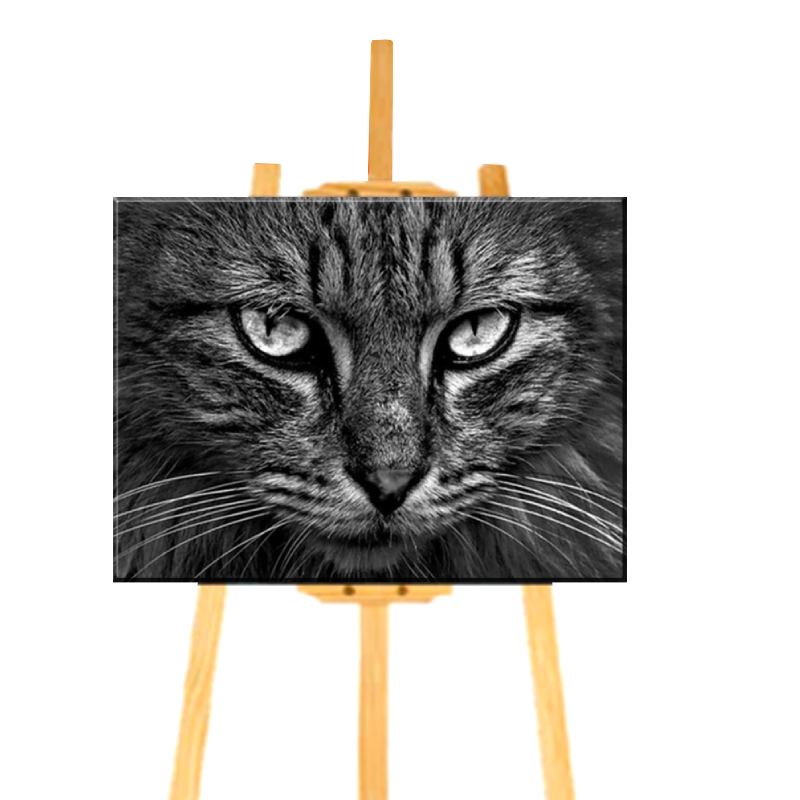 Peinture par Numéro Visage de Chat - Vraiment-chat