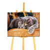 Peinture par numéro Chat Allongé - Vraiment-chat