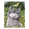 Peinture par Numéro de Chat avec Papillon Jaune - Vraiment-chat