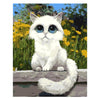 Peinture par Numéro de Chaton Blanc - Vraiment-chat