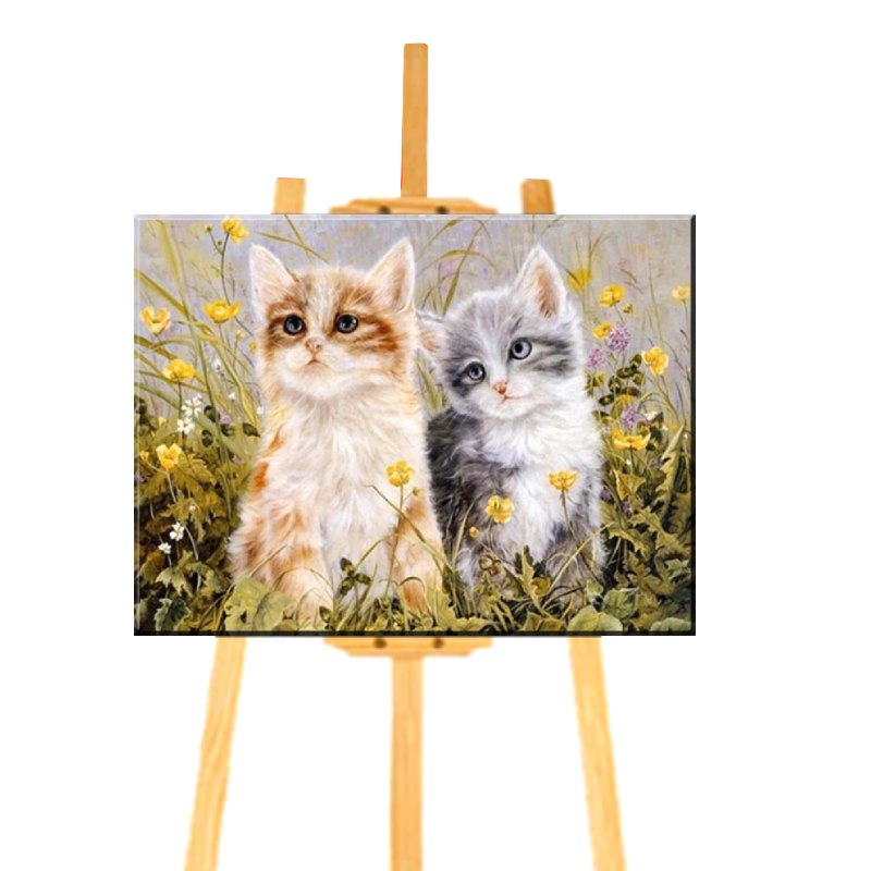 Peinture par Numéro Chat Roux et Gris - Vraiment-chat