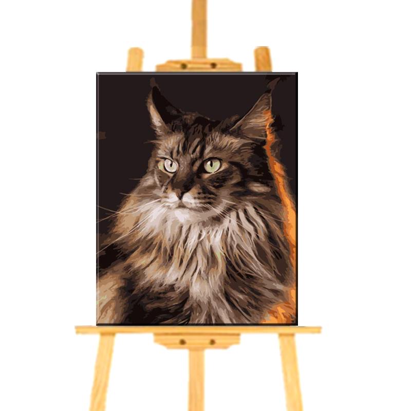 Peinture par Numéro Chat Maine Coon - Vraiment-chat