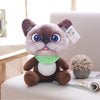 Peluche Chaton Cartoon - Vraiment-chat