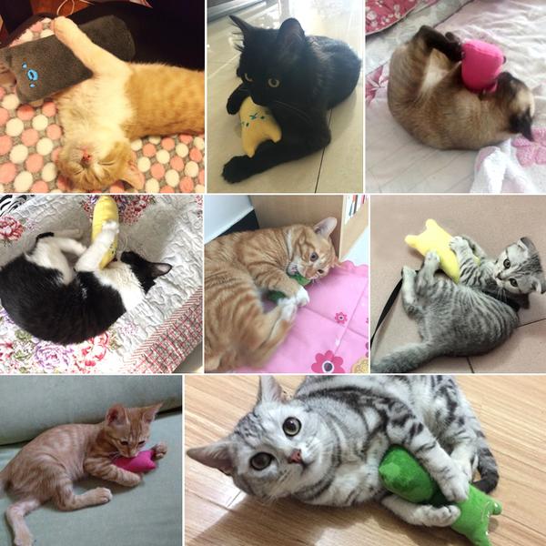 Jouet en Peluche Pour Chat Chauchisson - Vraiment-chat