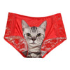 Petite Culotte Chat Avec Dentelle - Vraiment-chat