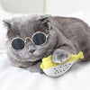 Jeu pour Chat <br/>Poisson Brosse à Dents - Vraiment-chat