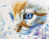 Peinture par Numéro Chat Blanc aux yeux bleus - Vraiment-chat