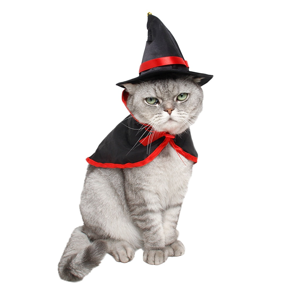 Chapeau de sorcière pour Chat - Vraiment-chat