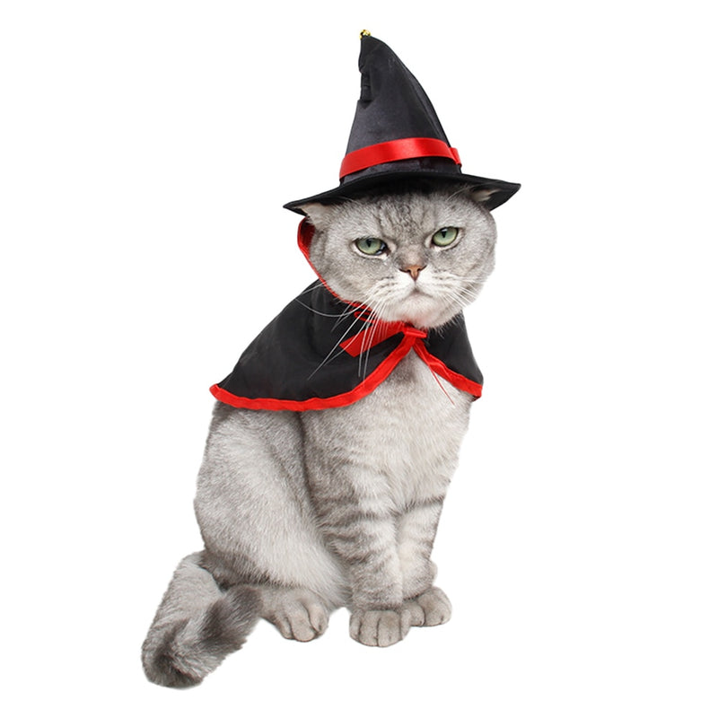 Chapeau de sorcière pour Chat
