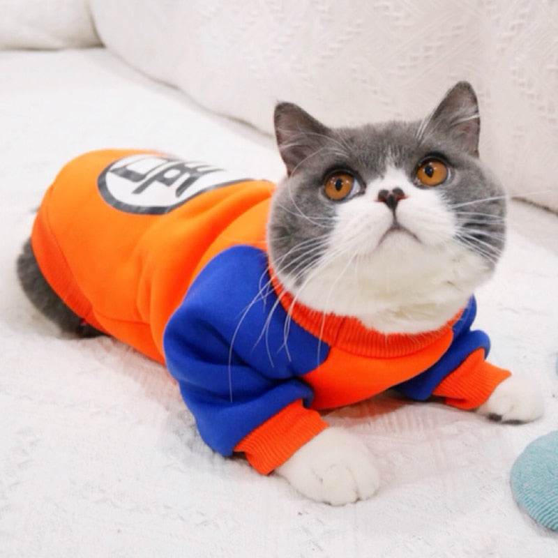 Pull pour chat orange
