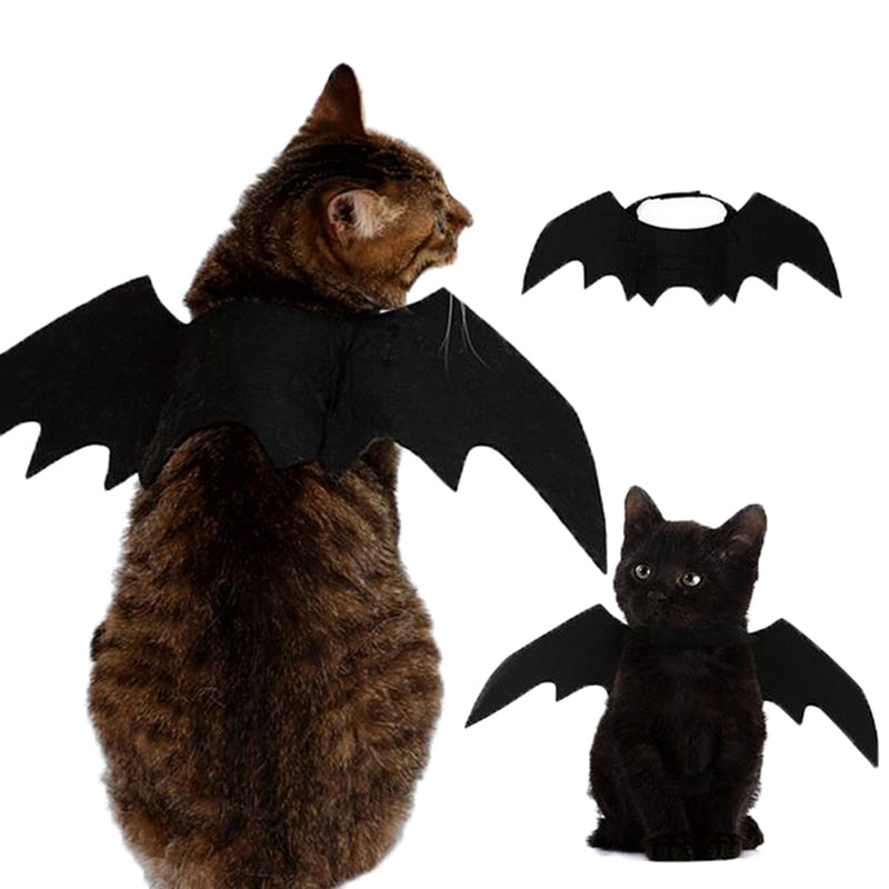 Déguisement pour Chat <br/>Ailes de Chauve-Souris - Vraiment-chat