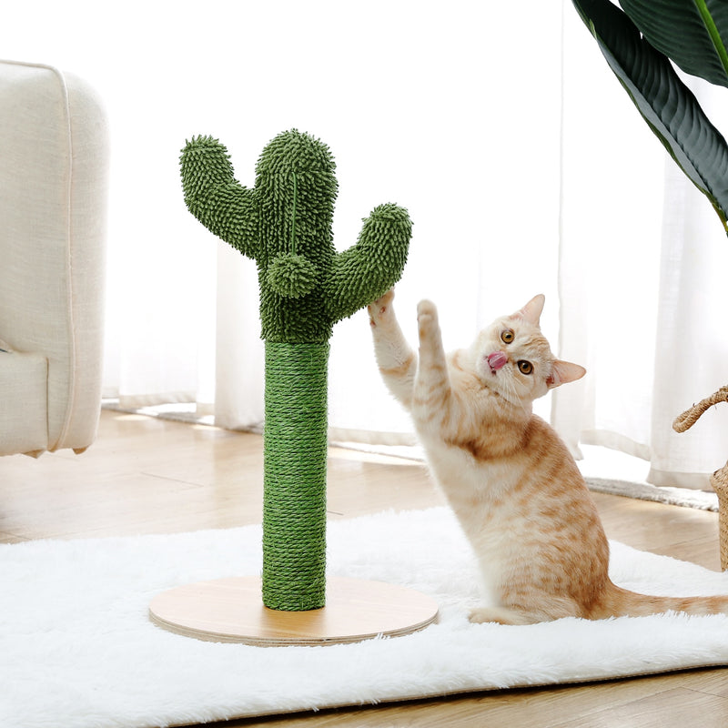 Arbre à Chat Cactus