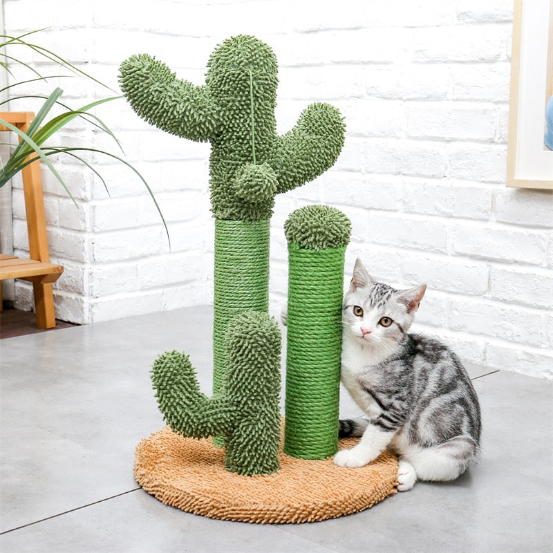 Arbre à Chat Cactus