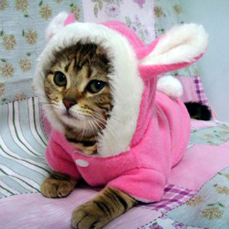 Hoodie Rabbit pour chat
