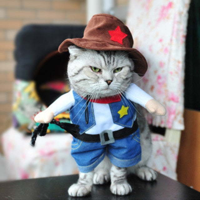 Déguisement Chat Garçon Cow-Boy - Vraiment-chat