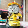 Déguisement chat dragon Empereur - Vraiment-chat