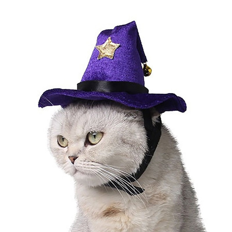 Chapeau de sorcier pour Chat