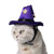 Chapeau de sorcier pour Chat