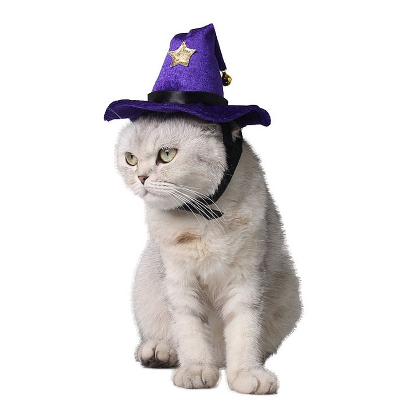 Chapeau de sorcier pour Chat