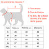 Pull Chat à boutons - Vraiment-chat