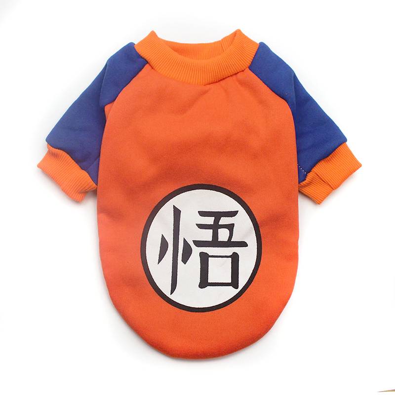 Pull pour chat orange