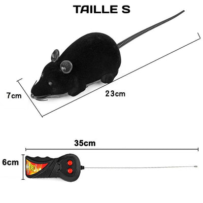 Souris Télécommandée pour Chat