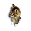 Sticker Chat à Travers le Mur - Vraiment-chat