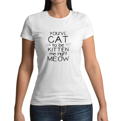 t-shirt chat plaisante - Vraiment-chat