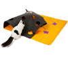 Tapis de Jeu pour Chat Multifonction - Vraiment-chat