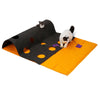 Tapis de Jeu pour Chat Multifonction - Vraiment-chat