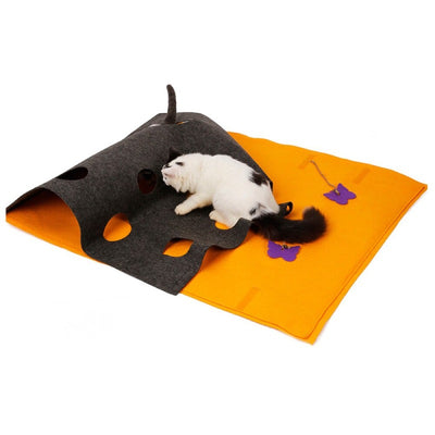 Tapis de Jeu pour Chat Multifonction - Vraiment-chat