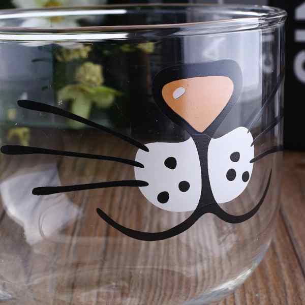 Tasse Transparente à Moustache de Chat - Vraiment-chat